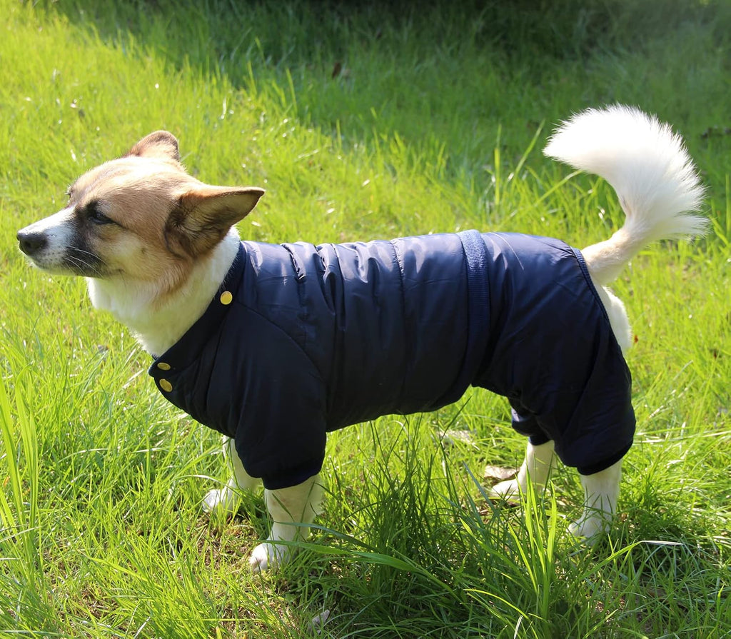 JoyDaog Detachable Hood and Hind Leg Dog Snowsuit,Winter Puppy Coat Blue XS