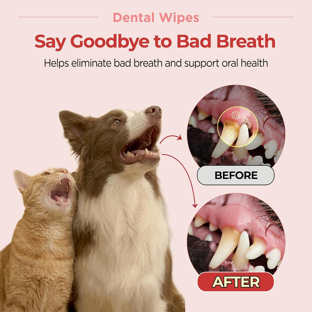 JAYU PET Unscented Dental Finger Wipes for Dogs and Cats, 50 Count