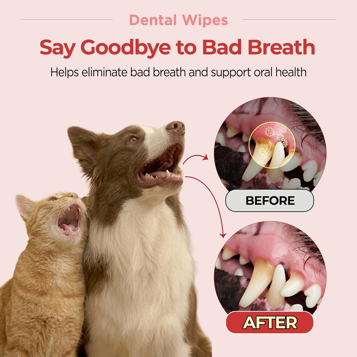 JAYU PET Unscented Dental Finger Wipes for Dogs and Cats, 50 Count