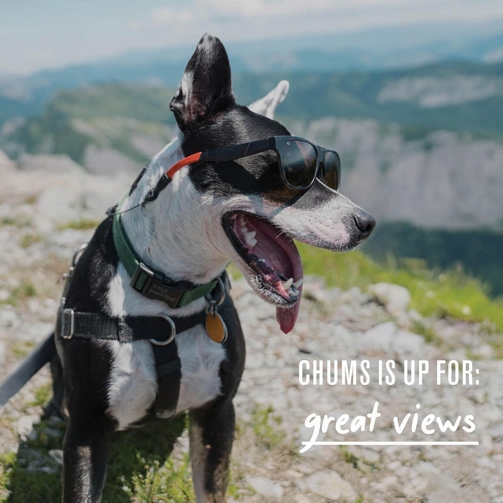 Chums Adjustable Orbiter Eyewear Retainer & Sunglasses Strap