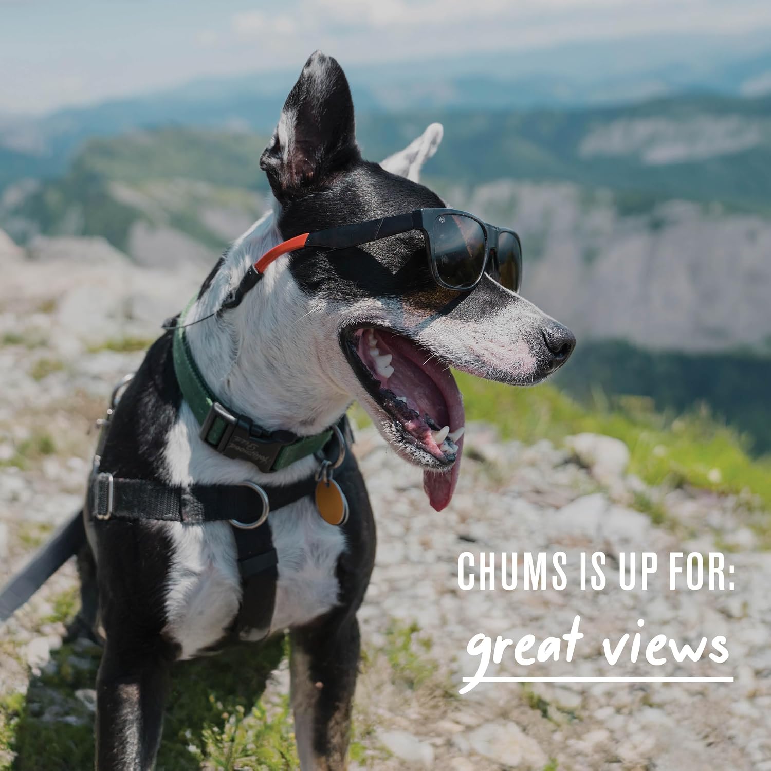 Chums Adjustable Orbiter Eyewear Retainer & Sunglasses Strap
