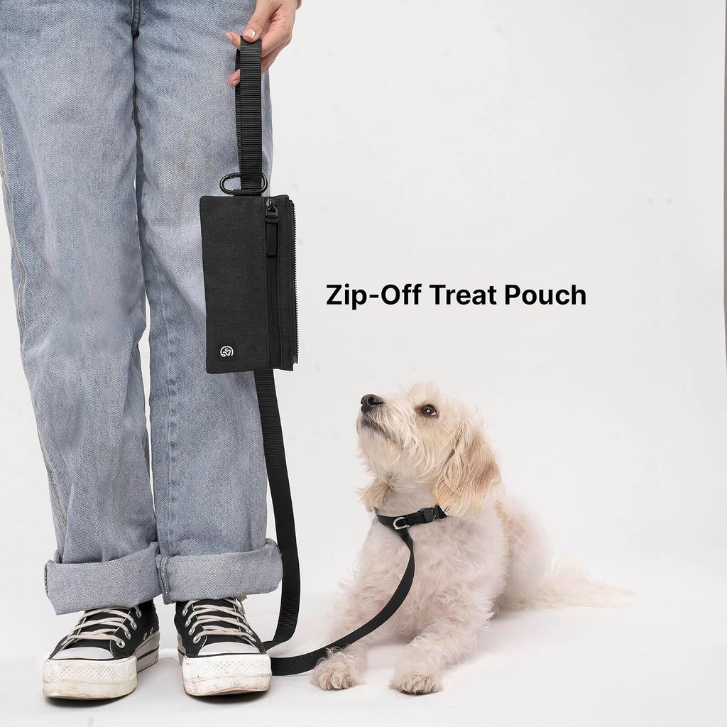Cleverpup Porter 2-in-1 Dog Gear Travel Backpack - 10 Pockets, Graphite