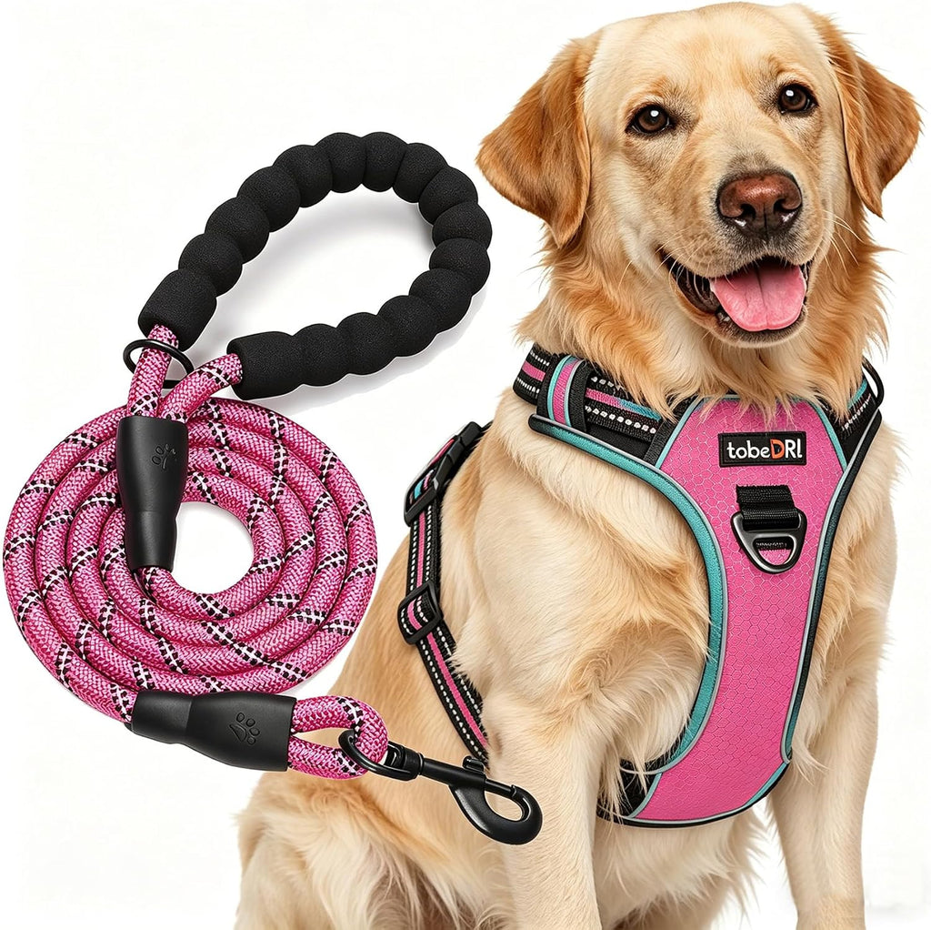 tobeDRI No Pull Dog Harness Adjustable Reflective Oxford Easy Control Medium Large Dog Harness with A Free Heavy Duty 5ft Dog Leash, Blue, L