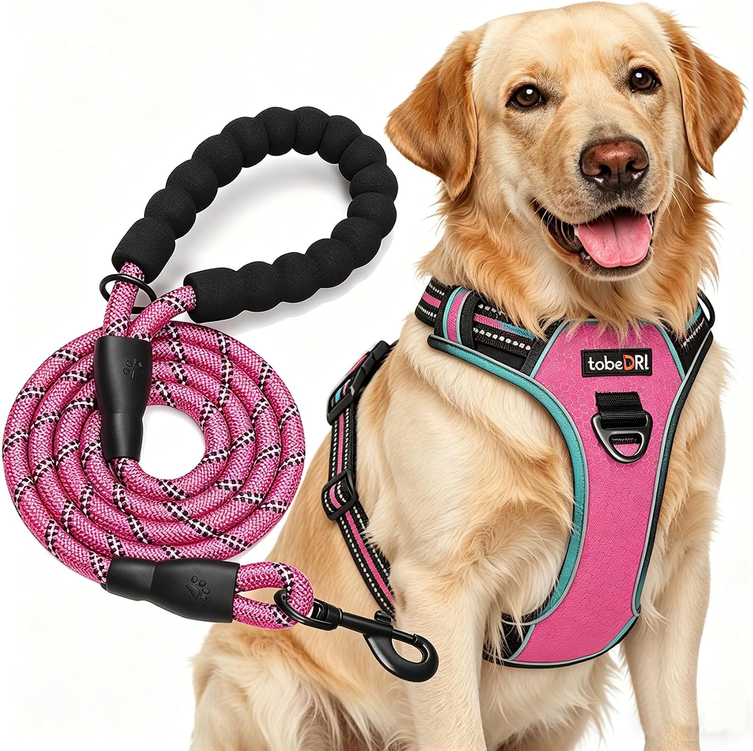 tobeDRI No Pull Dog Harness Adjustable Reflective Oxford Easy Control Medium Large Dog Harness with A Free Heavy Duty 5ft Dog Leash, Blue, L