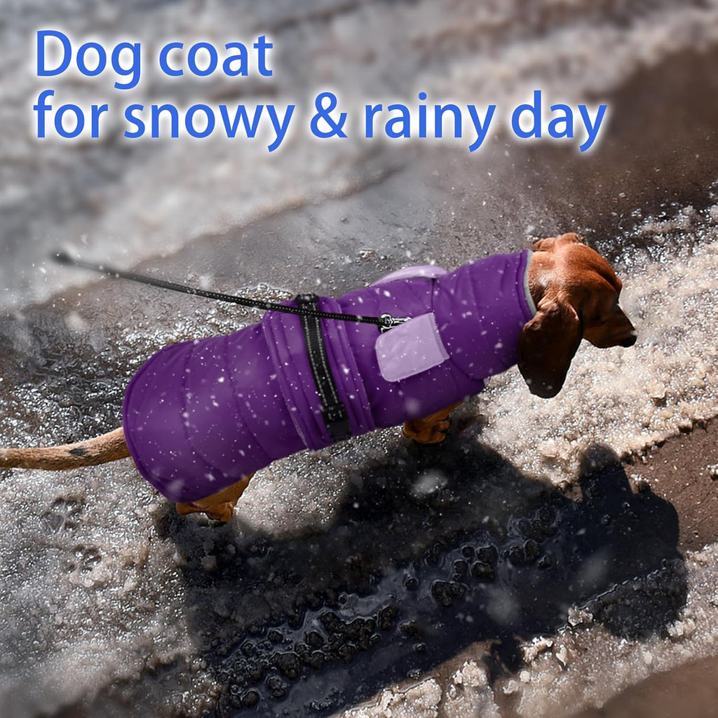 MIGOHI Cozy Small Dog Coat - Reflective Dog Coat for Small Dogs,Fleece Winter Coats Jacket for Dogs with Leash Hole,Snowproof Thick Puppy Clothes,Pomeranian,Chihuahua,XS,Purple