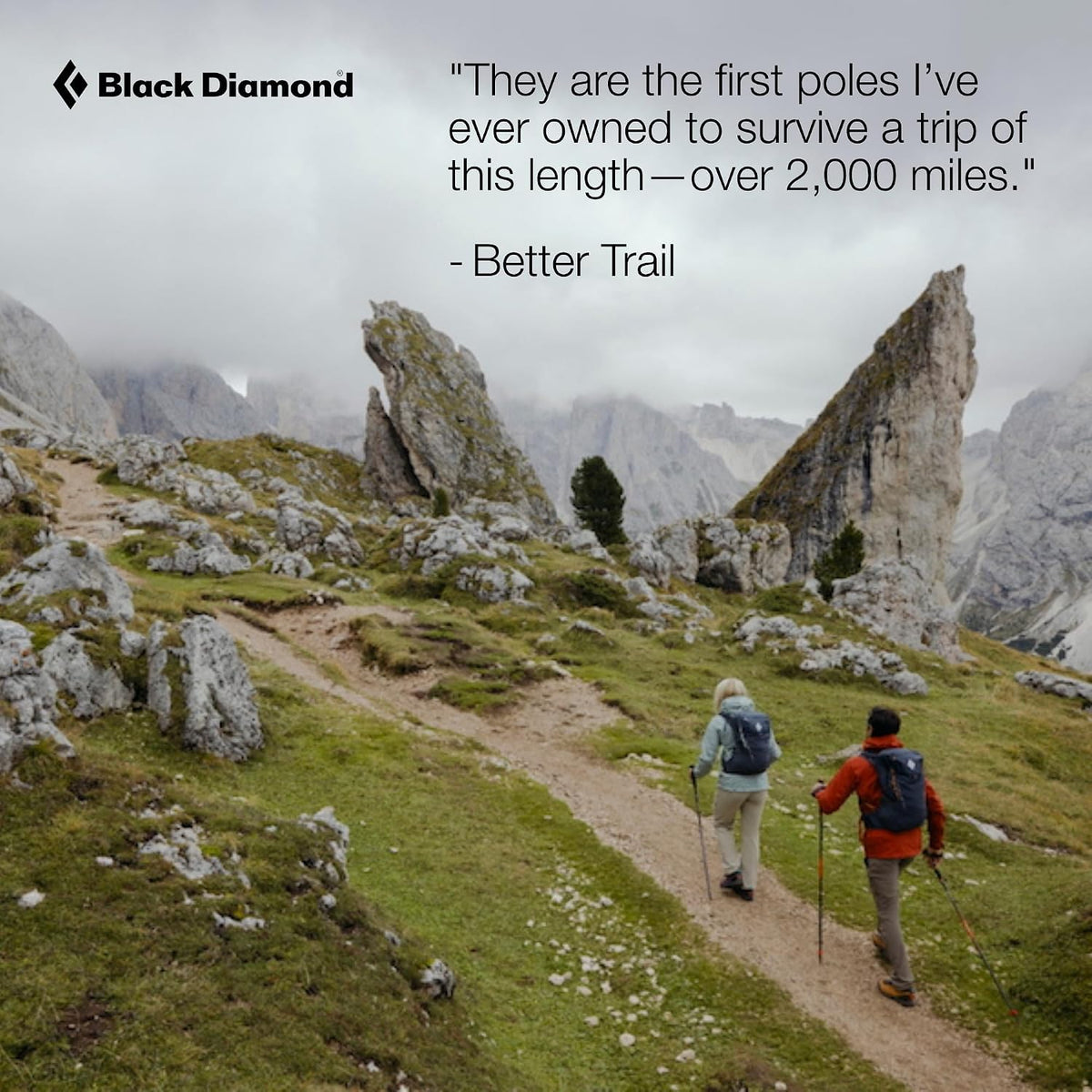BLACK DIAMOND Pursuit Adjustable Trekking Poles (Pair) Natural Cork Hiking