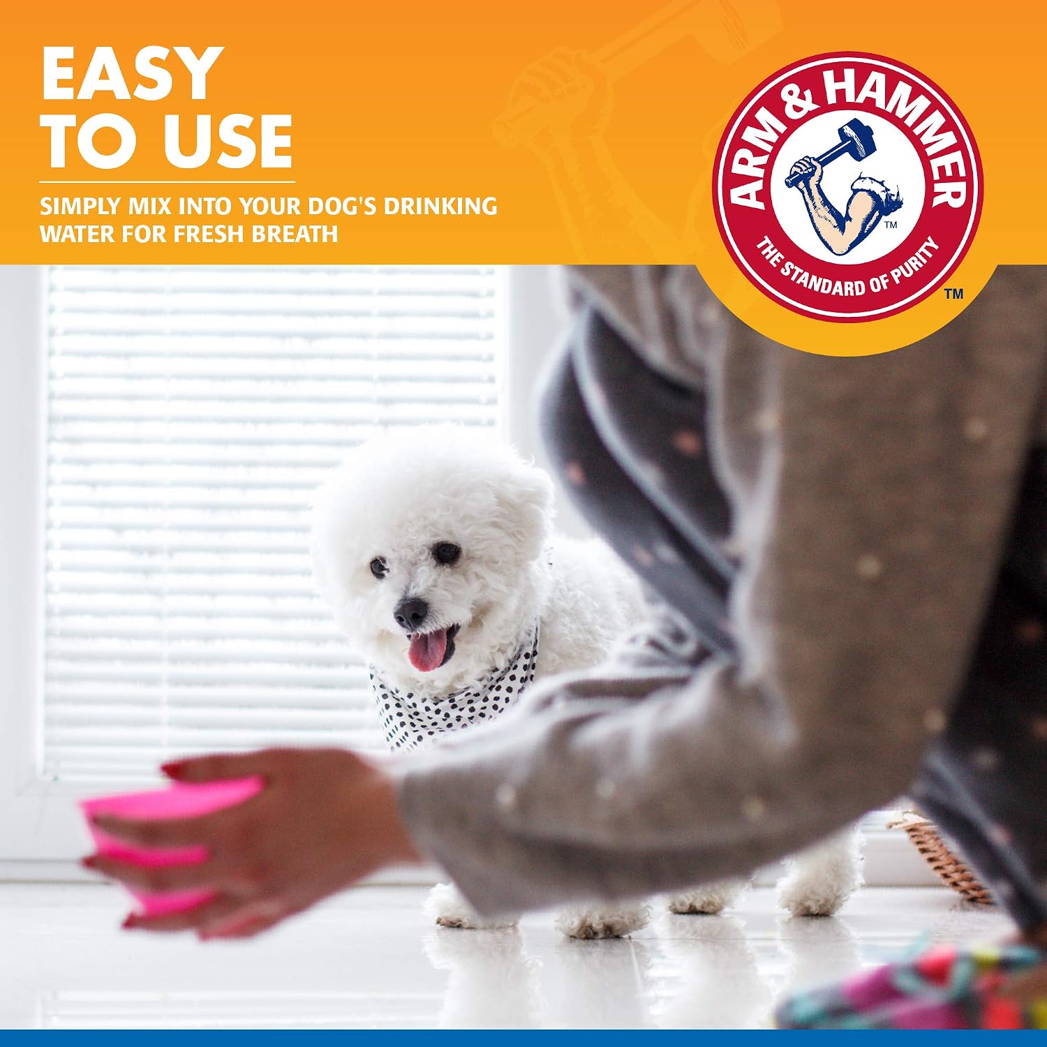 Arm & Hammer Clinical Care Dental Rinse for Dogs, 16 Fl Oz