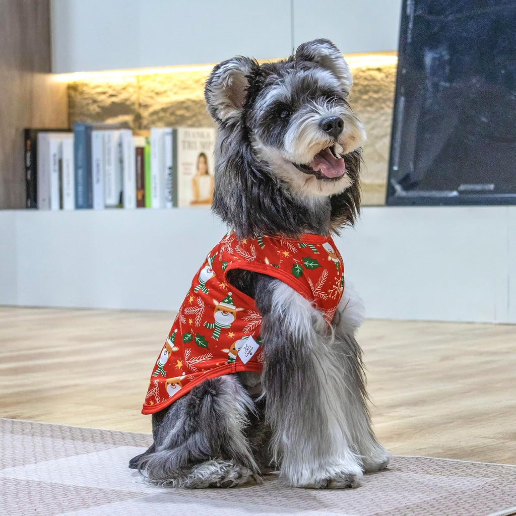CuteBone Dog Shirts 2-Pack Soft Pet Clothes Breathable Summer Vest for Small Puppy and Stretchy Cat Apparel