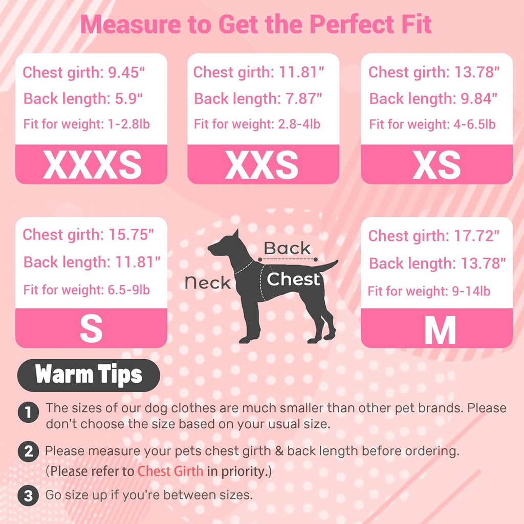 Dog Dress, Fashion Puppy Tutu Princess Dresses for Small Dogs Girl, Sweet Skirt with Dog Bowknot Clips, Spring Dog Cat Clothes Pet Apparel (Purple Floral Dress, XX-Small)