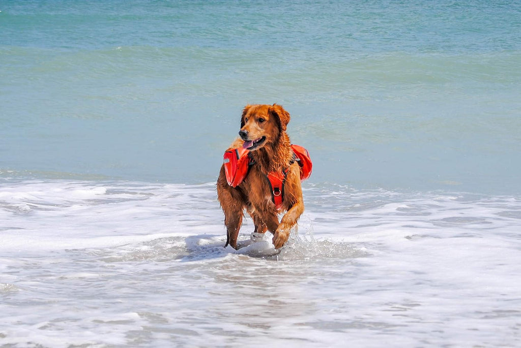 Bark Brite Multi-purpose Dog Backpack Life Jacket (Size Large)