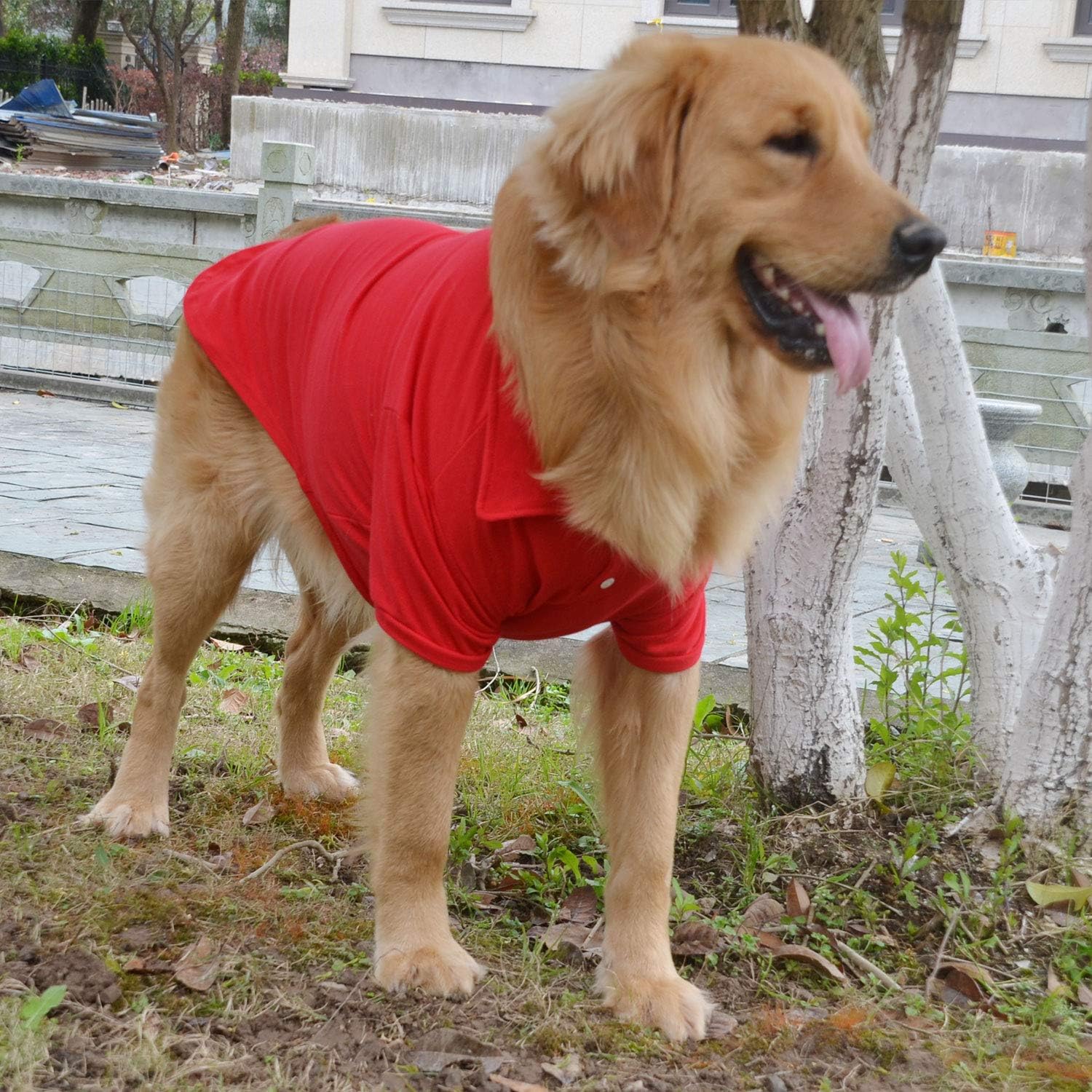 lovelonglong Basic Dog Polo Shirts Premium Cotton, Polo T-Shirts for Large Medium Small Dogs with a Two-Button Collar Blank Color Red XL
