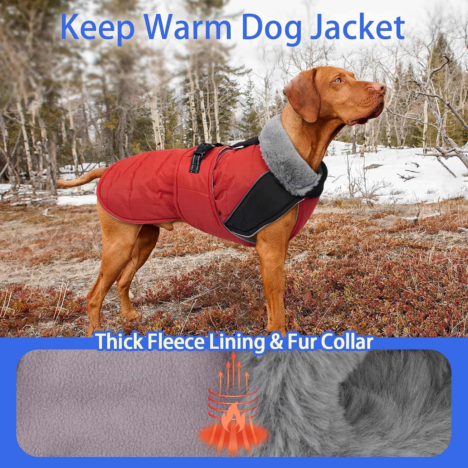 MIGOHI Cozy Small Dog Coat - Reflective Dog Coat for Small Dogs,Fleece Winter Coats Jacket for Dogs with Leash Hole,Snowproof Thick Puppy Clothes,Pomeranian,Chihuahua,XS,RedBlack