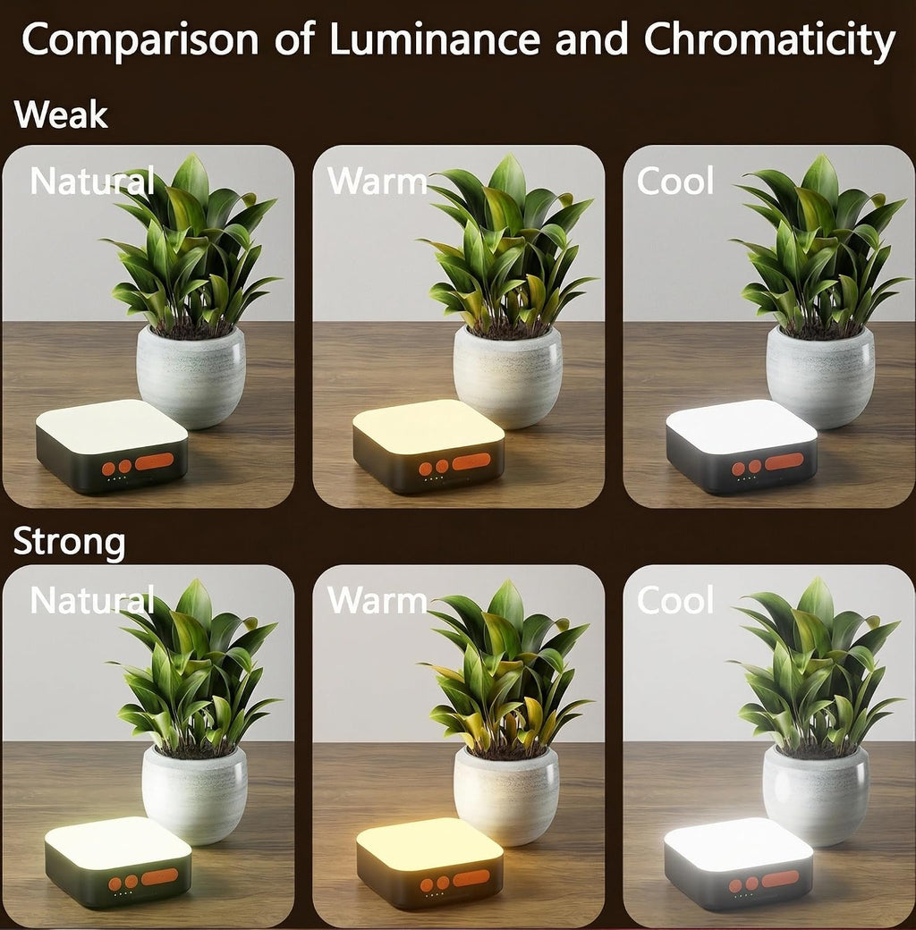 Solar Camping Lantern, Solar Camping Light 5200mAh Rechargeable 1000 Lumens 5 Light Modes, Lanterns for Power outages Hurricane IP65 Waterproof, Hiking, Fish, Emergency, and Home