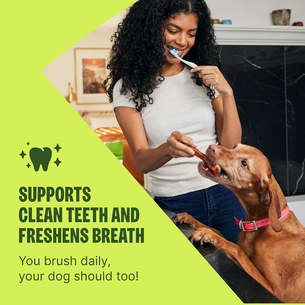 Wellness WHIMZEES Freshzees Natural Dog Dental Treat, Soft Chews, Freshens Breath, Small Size, 14.81 oz Bag, 28 Count