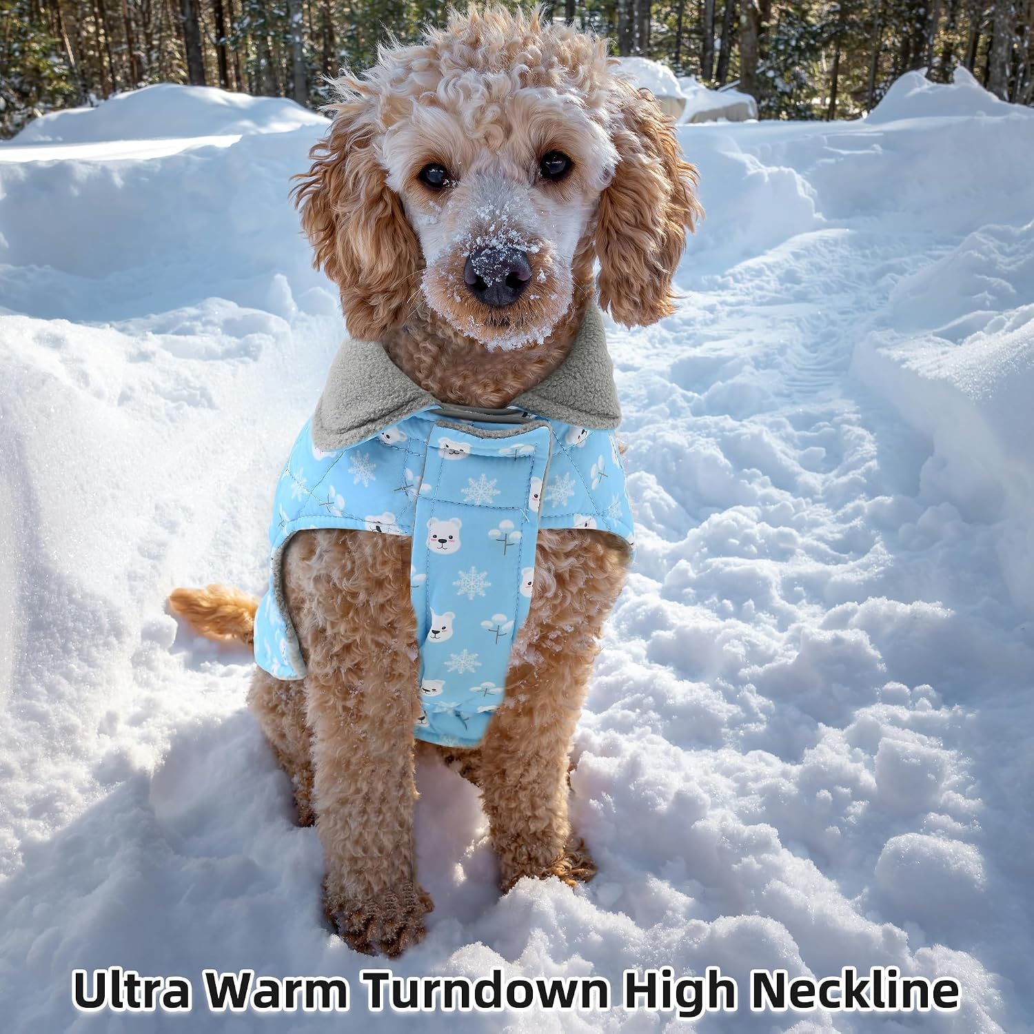 Mile High Life Dog Warm Coat, Small Dog Winter Jacket Windproof Water Resistant Cold Weather Coats Cozy Snow Jacket Vest for Puppies (Blue, Medium Chest 17.3")