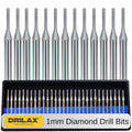 Drilax 30-Piece 1mm Diamond Drill Bits Set – 1/8 Shank Compatible with Dremel Rotary Tools – Precision Diamond Dremel Bits for Jewelry Making, Stone, Glass, Ceramic, Sea Glass, & Gemstones