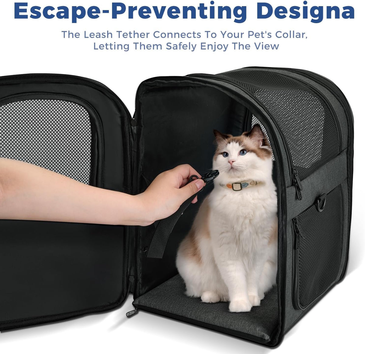 Apollo Walker Cat Carrier Backpack for Small Dogs and Cats Up to 18 lb