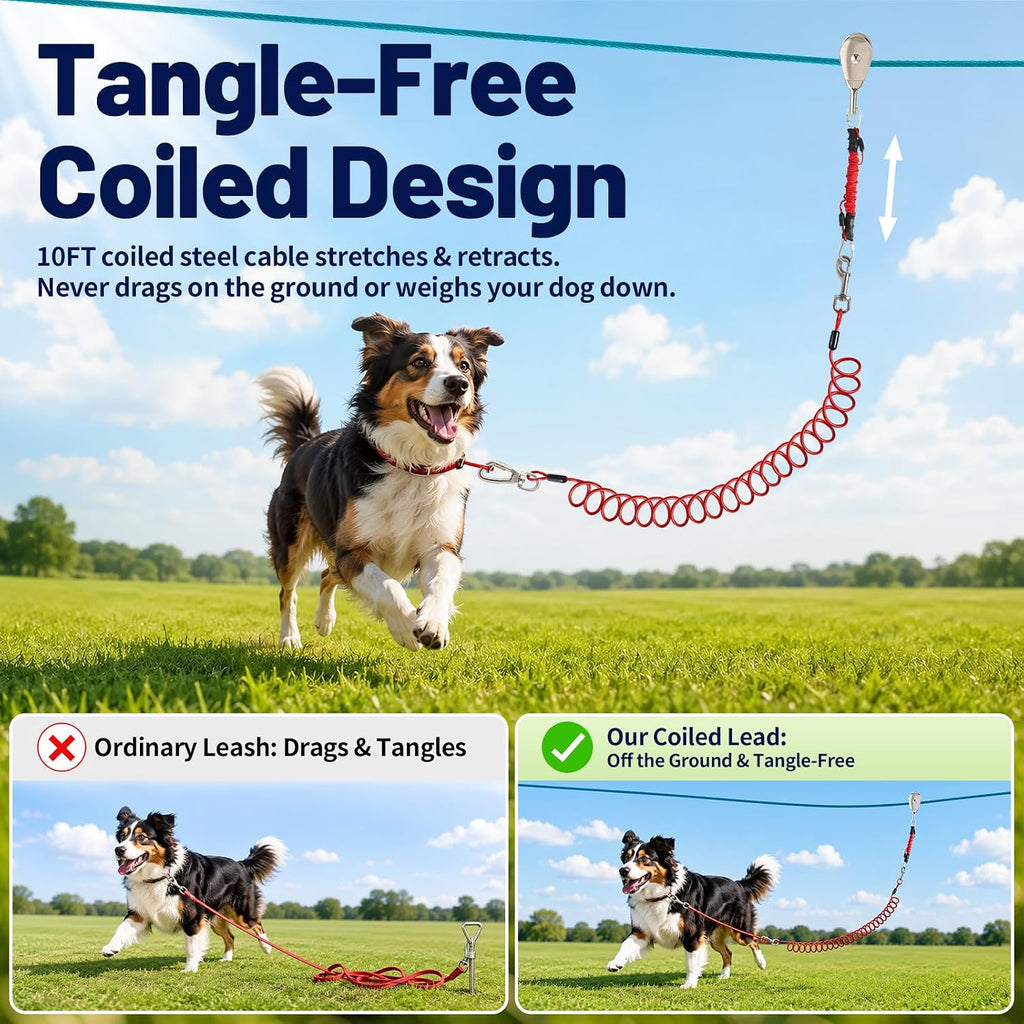 50FT Dog Zip Line System for Large Dogs Up to 300lb