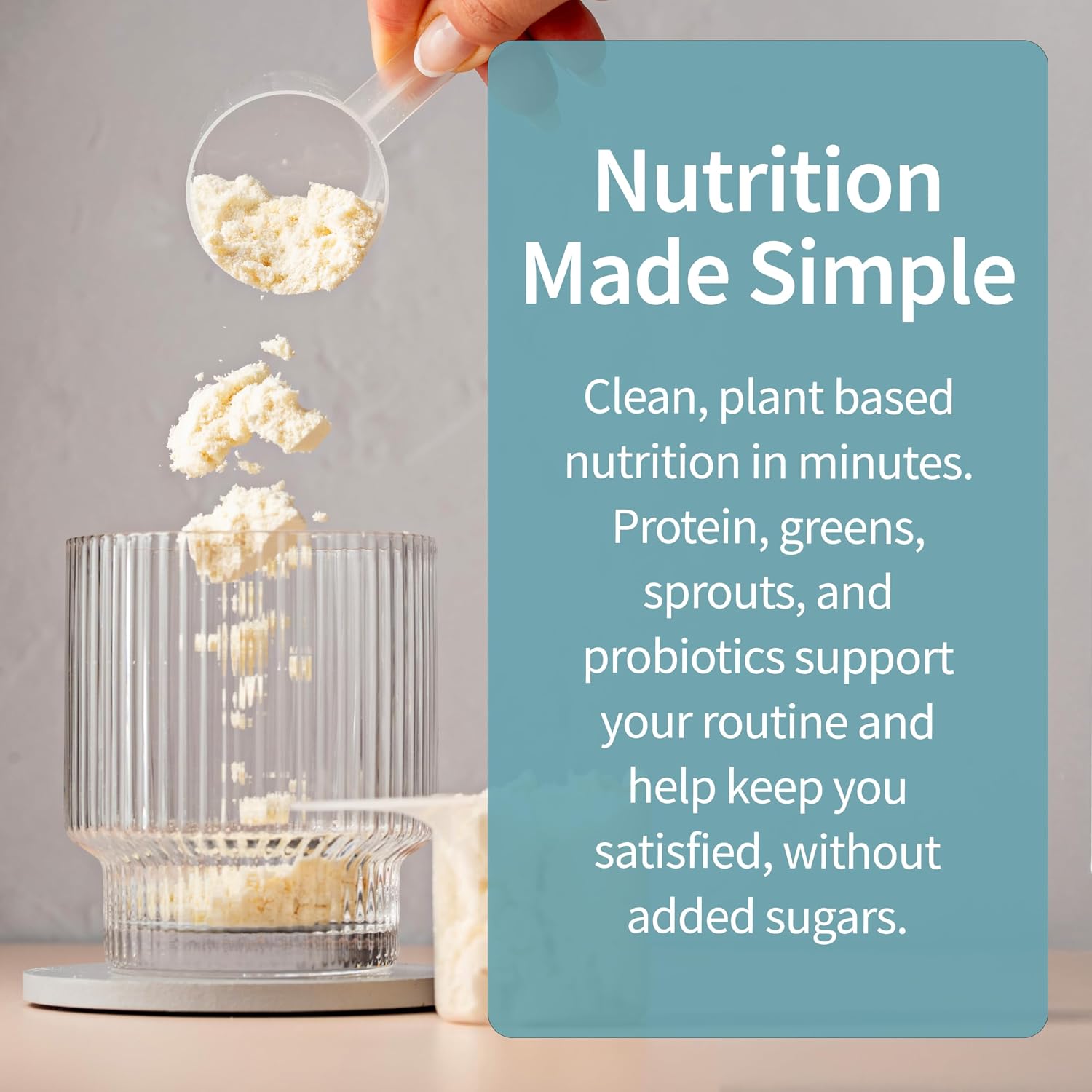 Garden of Life Raw Organic Meal Protein Powder, Lightly Sweet, 14 Servings