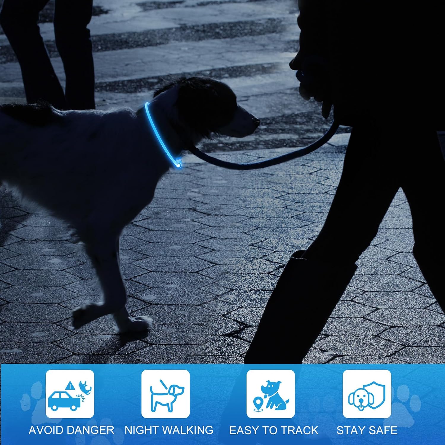 NOVKIN Lighted Dog Collar, Rechargeable 7 Colors Changing Light Up Dog Collar, IP67 Waterproof LED Collar Glow in the Dark, Make Pet Visible and Safety for Night Walking,Outdoor, for All Dogs