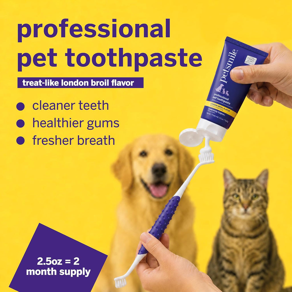 Petsmile VOHC Accepted Pet Toothpaste, London Broil 2.5 Oz, Cats + Dogs