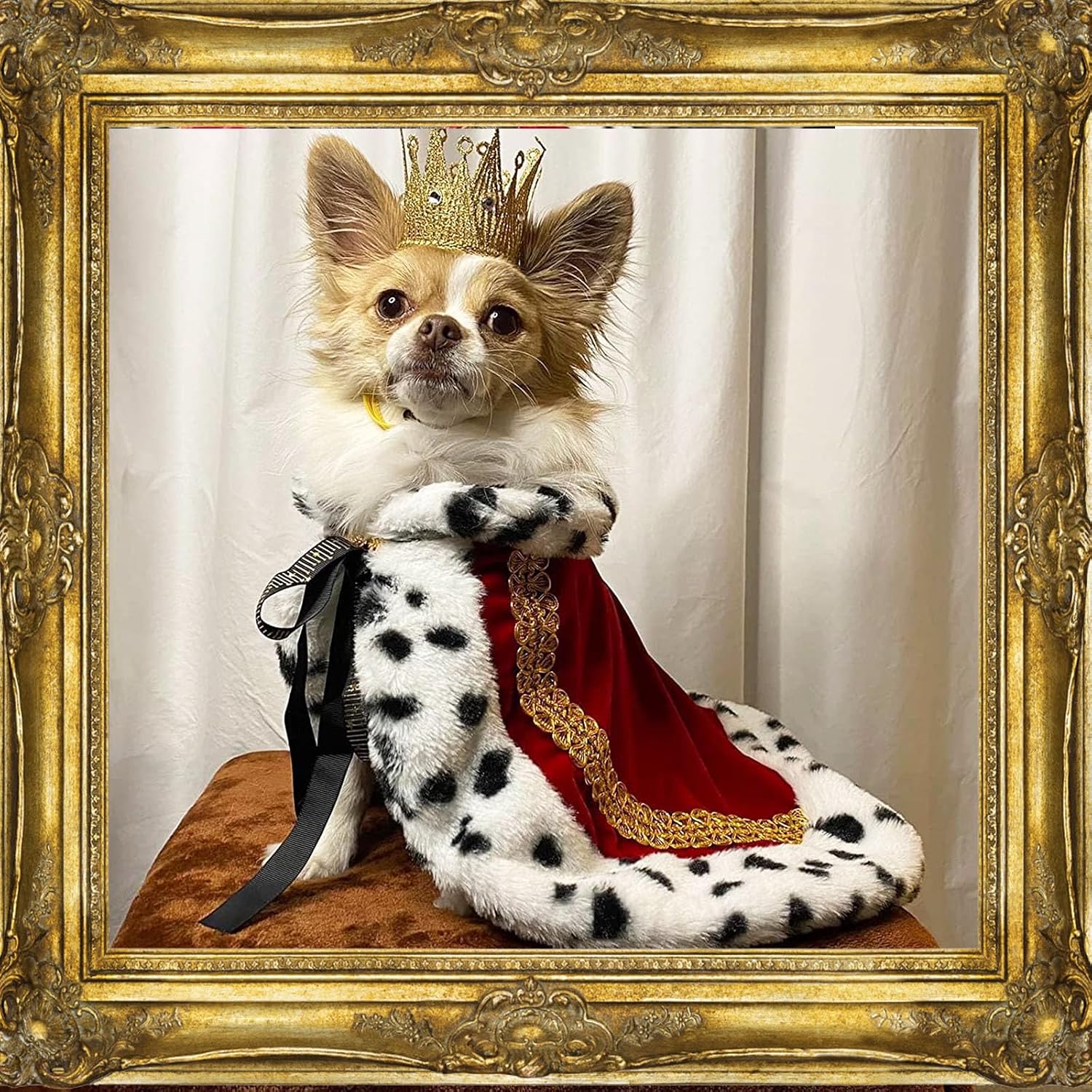 Pet Cloak King Dog Cape Robe Cute Halloween Christmas Cat Costume Queen Clothes Lux Fur Royal Cape Prince Princess Outfit Birthday Dress Small Large Dog Halloween Costume (Crimson, Small)