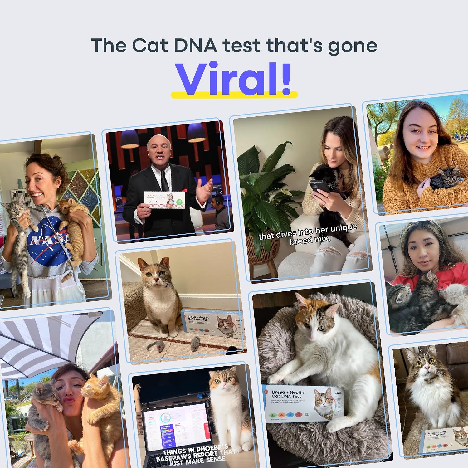 Basepaws Cat DNA Test Kit, Breed, Health & Dental Insights (Pack of 2)