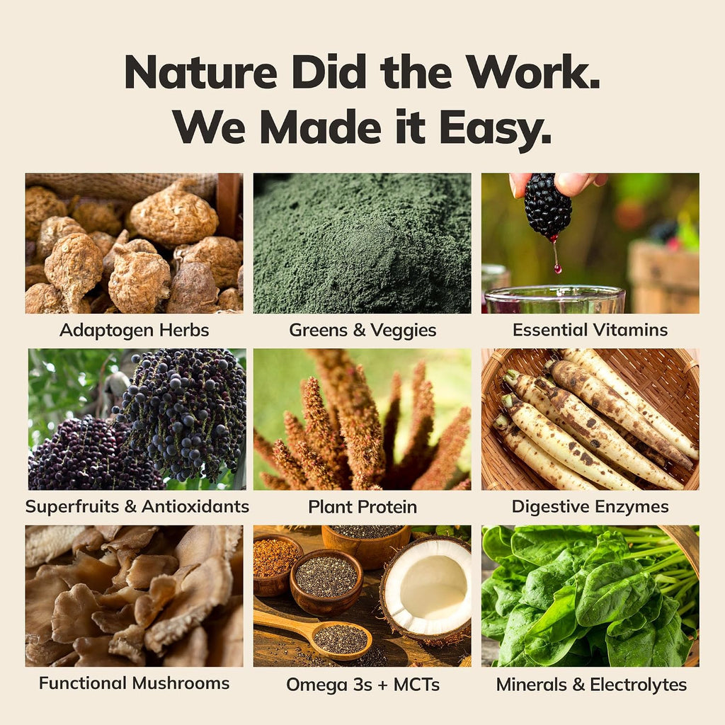 Ka'Chava Nutrition Shake - Vegan Meal Replacement, 85+ Superfoods & Nutrients, Meal Replacement, Greens Plant-Based Powder Protein Drink, Digestive Enzymes & Probiotics - Variety Pack 5 Servings