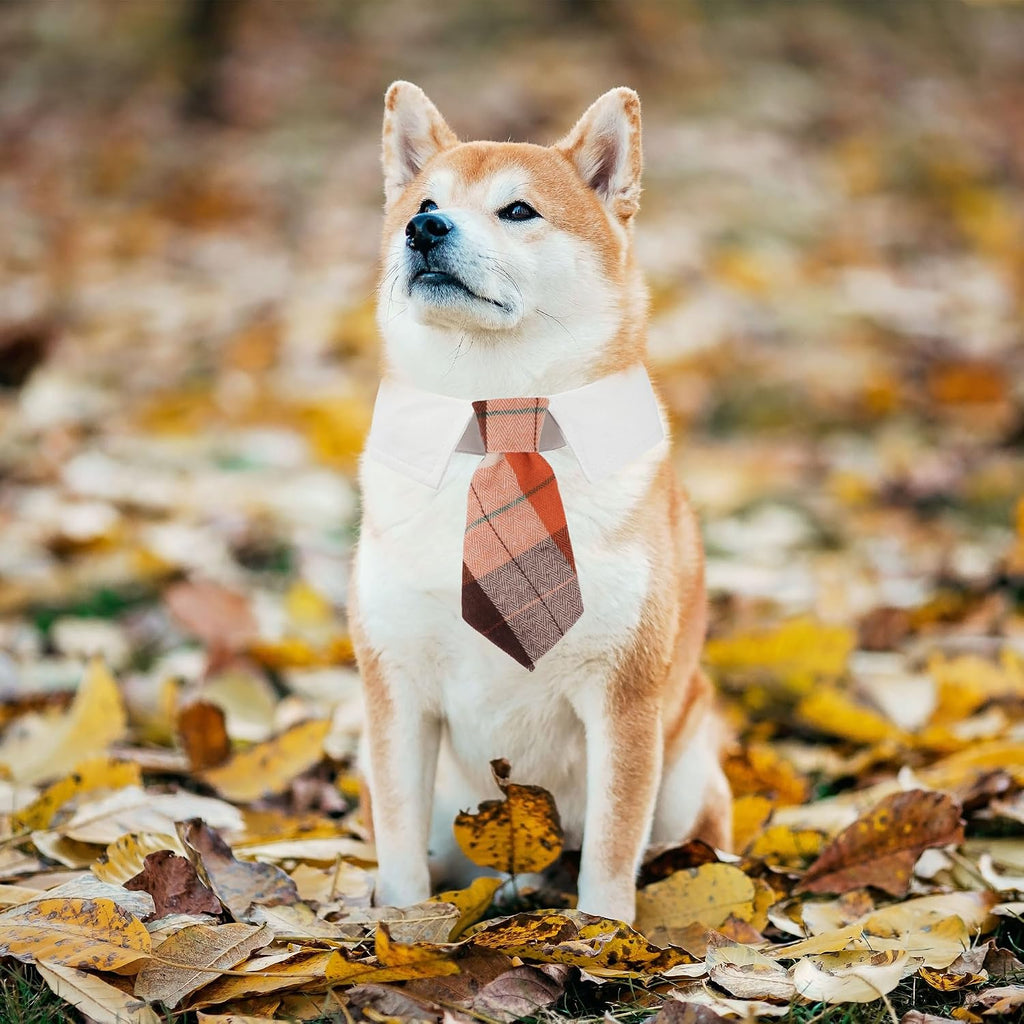 ADOGGYGO Fall Dog Necktie, Orange Plaid Thanksgiving Dog Tie Collar, Small