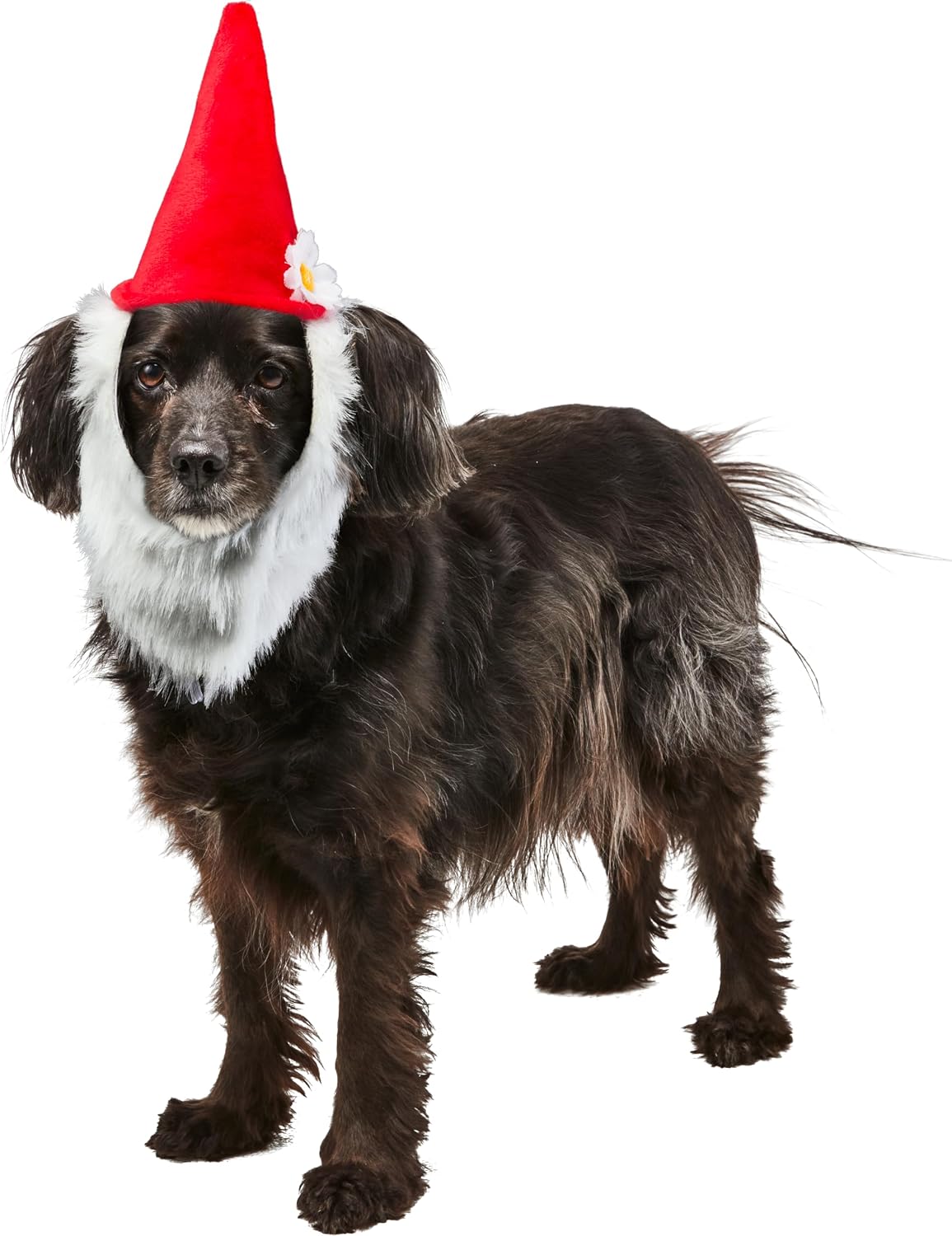 Rubies Garden Gnome Hat with Beard for Hats