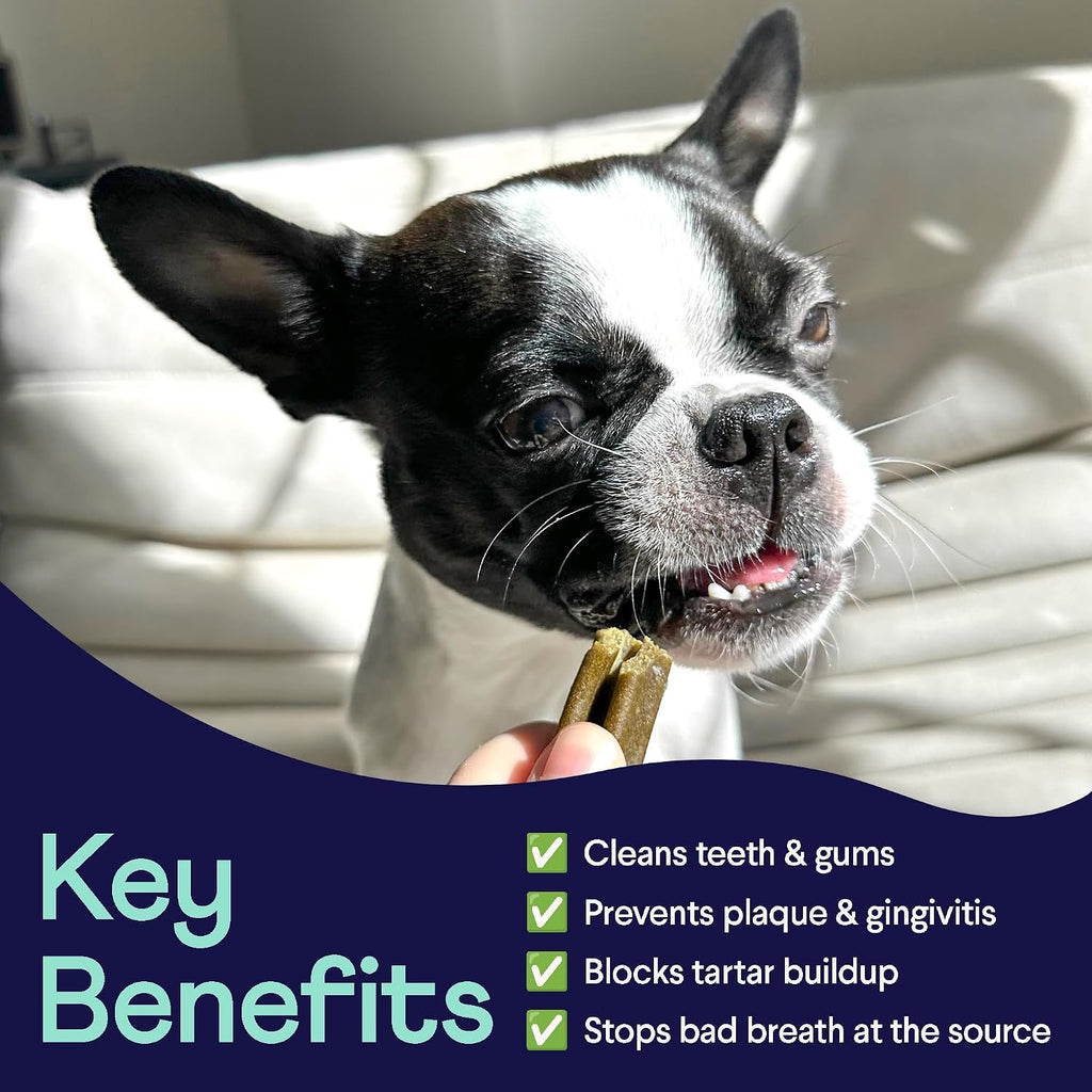 Finn Plaque Patrol Dental Chews - Fights Tartar & Bad Breath - Small Dogs