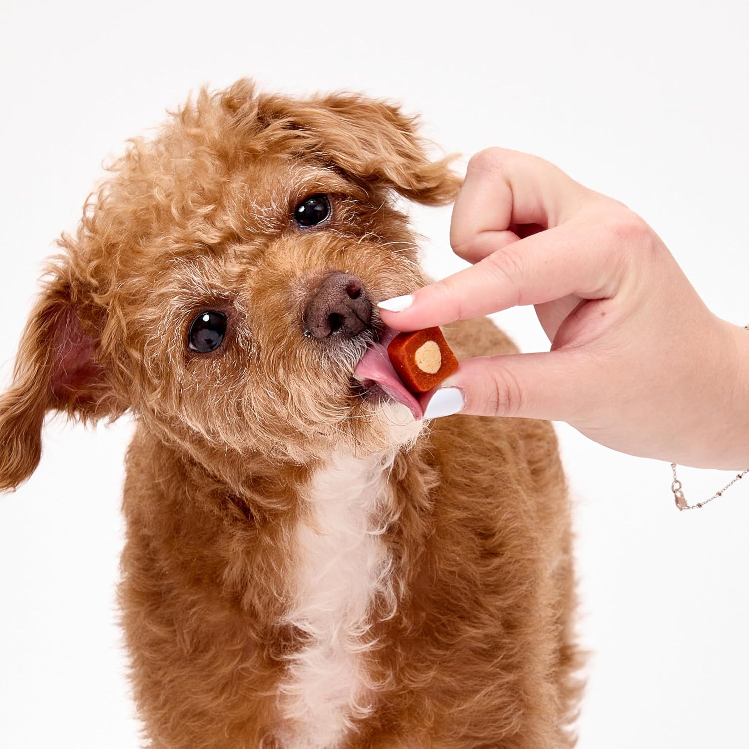 Ark Naturals Protection+ Brushless Toothpaste Bundle - Mini Breeds (3 Pack)