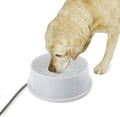 K&H Heated Water Bowl, Thermal-Bowl for Cats & Dogs, Safety Listed, 25W