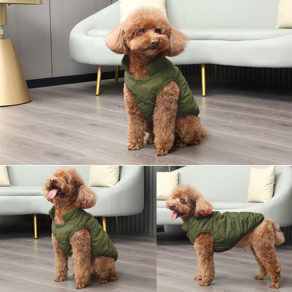 JoyDaog Fleece Lined Dog Jacket for Small Dogs,Winter Dog Coat,Green M