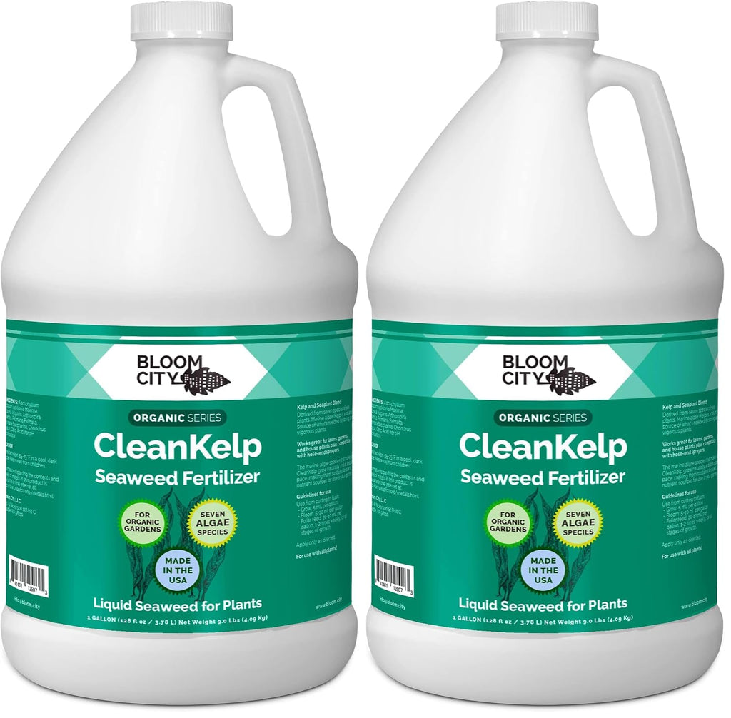 Bloom City Seaweed and Kelp Liquid Fertilizer for Plants, 32 oz