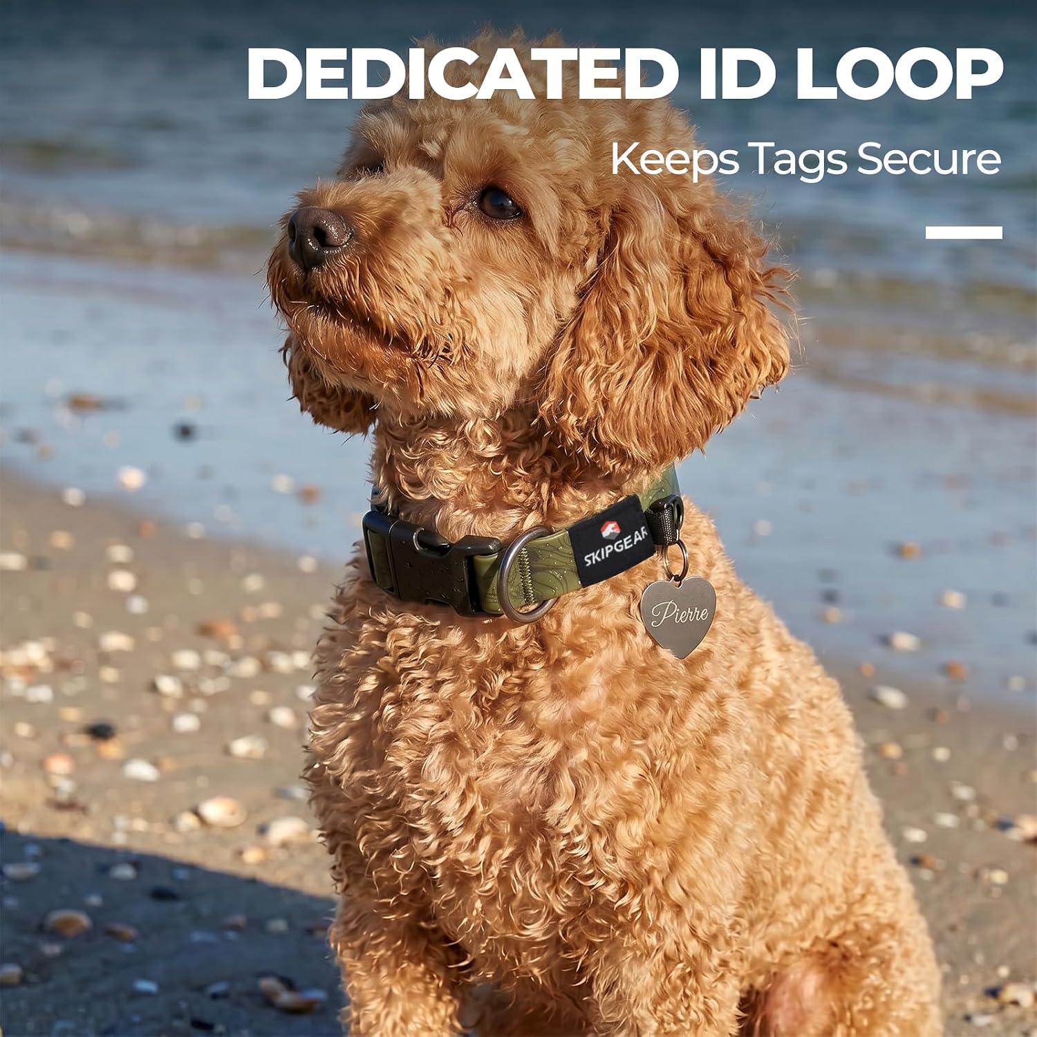 Waterproof Dog Collar, Odor-Resistant (Avocado Green, Small)
