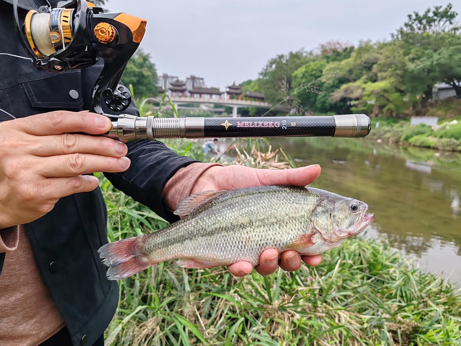 Telescopic Fishing Rod and Reel Combination, 240 Cm Carbon Fiber Rod, Adult Foldable Fishing Rod Suitable for Freshwater and Salt Water