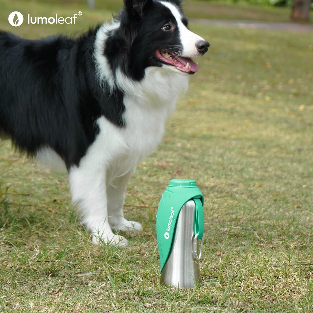LumoLeaf Portable Dog Water Bottle 27 OZ, Stainless Steel Pet Travel Water Bottle Dispenser for Walking, Hiking and Outdoor, Portable Water Bowl for Large Dogs (Green)