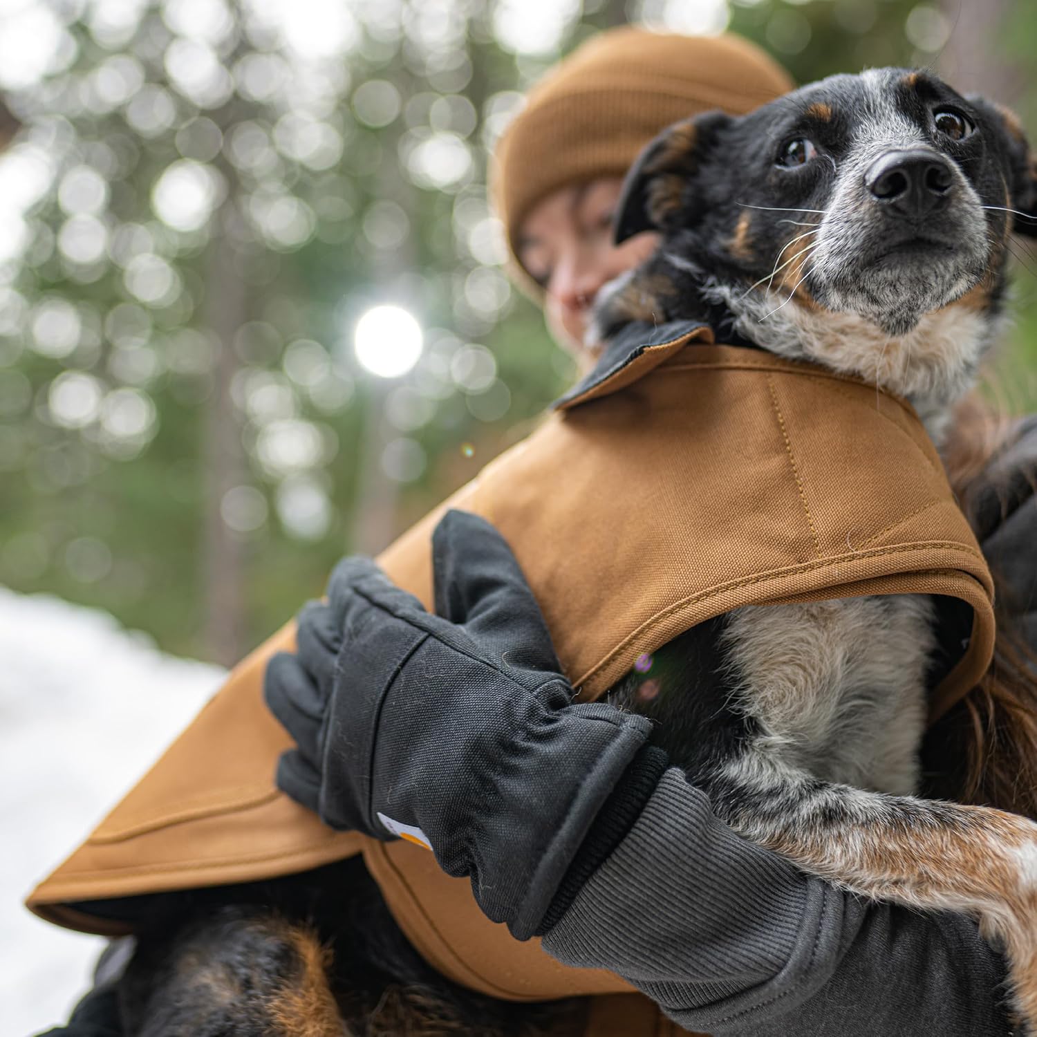 Carhartt Firm Duck Insulated Dog Chore Coat Black XL