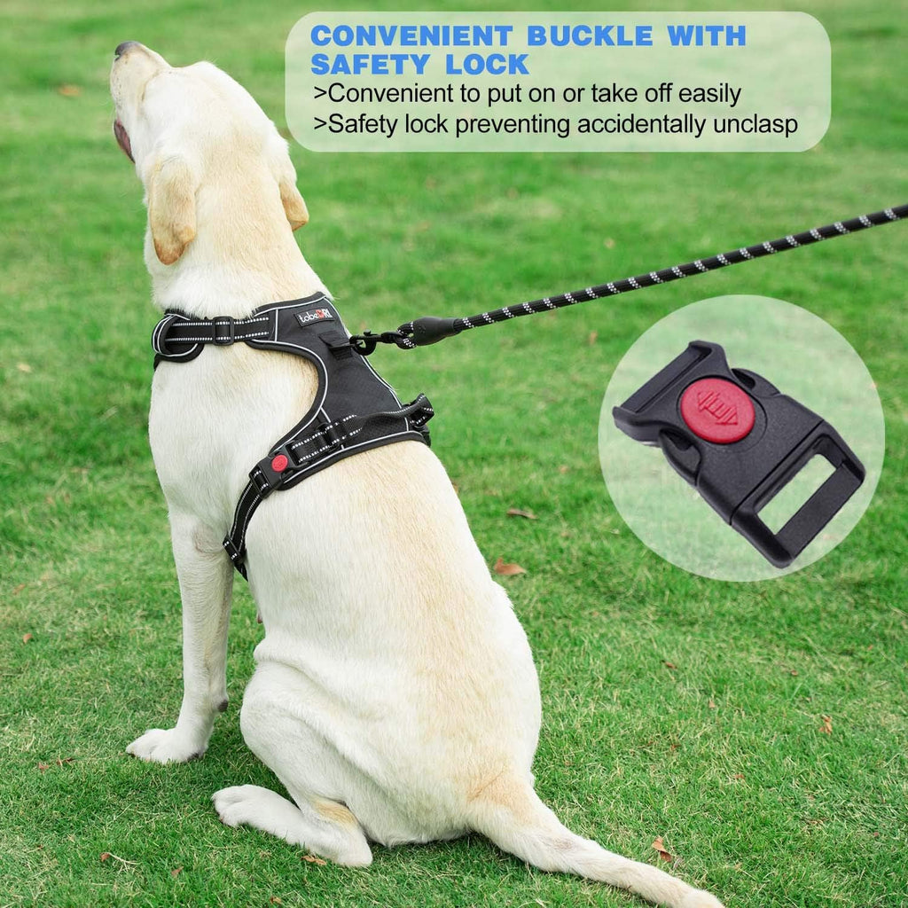 tobeDRI No Pull Dog Harness Adjustable Reflective Oxford Easy Control Medium Large Dog Harness with A Free Heavy Duty 5ft Dog Leash, Blue, L