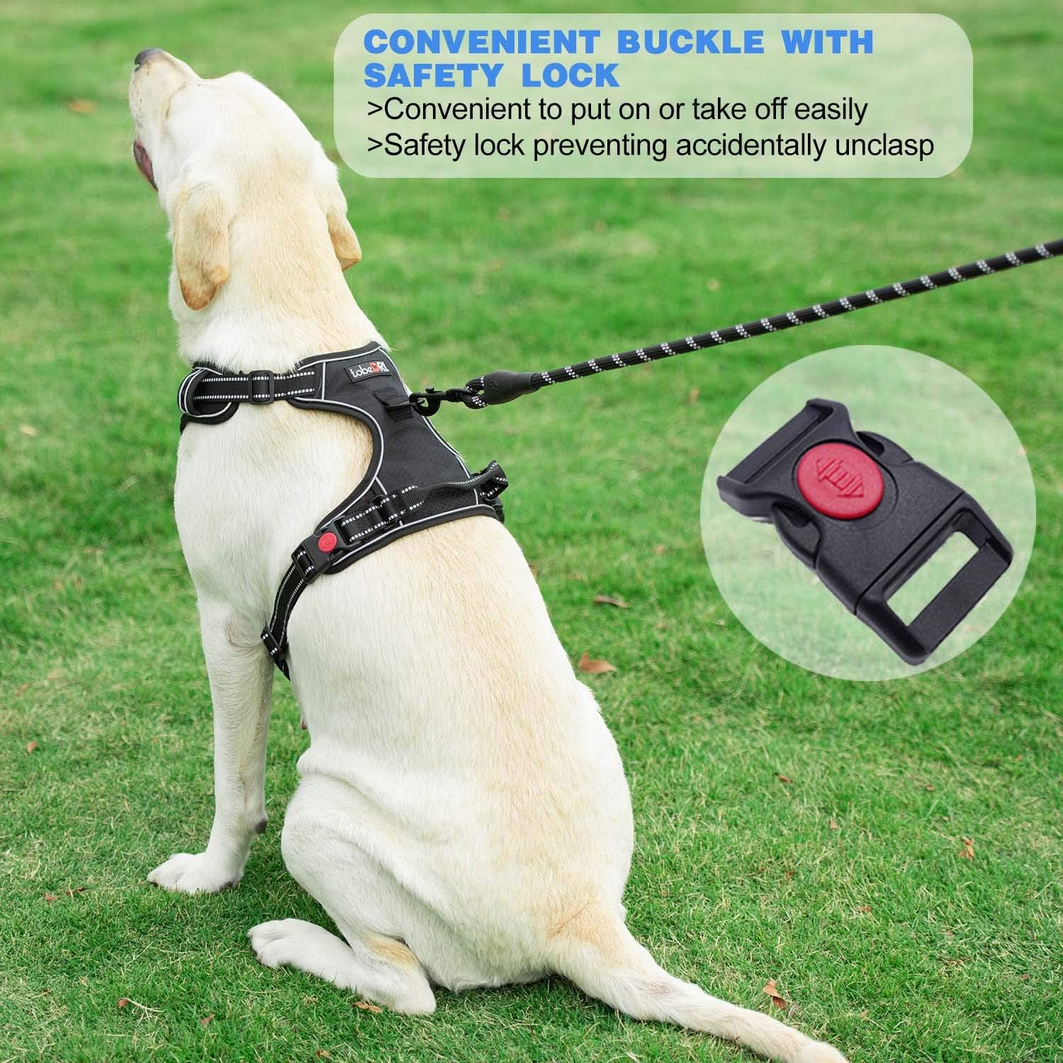 tobeDRI No Pull Dog Harness Adjustable Reflective Oxford Easy Control Medium Large Dog Harness with A Free Heavy Duty 5ft Dog Leash, Blue, L