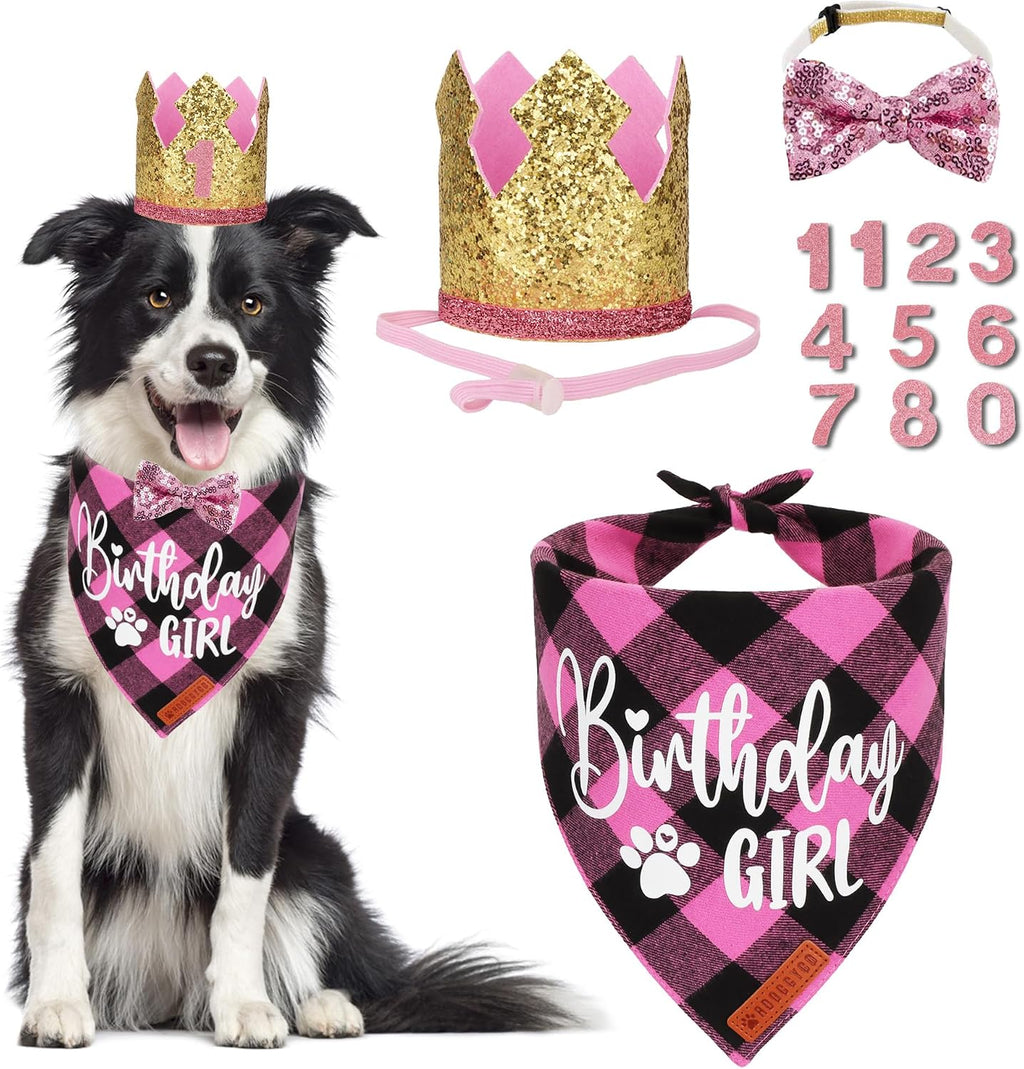 ADOGGYGO Dog Birthday Hat, Blue Plaid Birthday Boy Bandana Set, Small