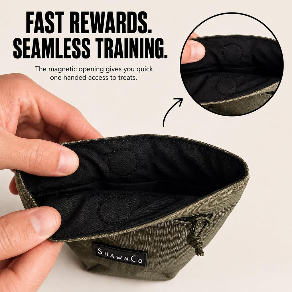 SHAWNCO Essential Treat Bag, Dog Snack Pouch (Electric Blue)