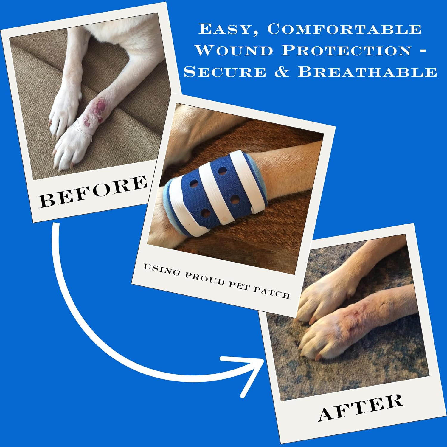 Proud Pet Patches Dog Bandage for Wound Care w/ Peep Hole Cover. Bandages for Dog Hot Spots, Lick Granuloma, Stitches and Wounds. Self Adhesive Wrap Works for Paw, Tail, Legs, Foot for Dogs & Cat
