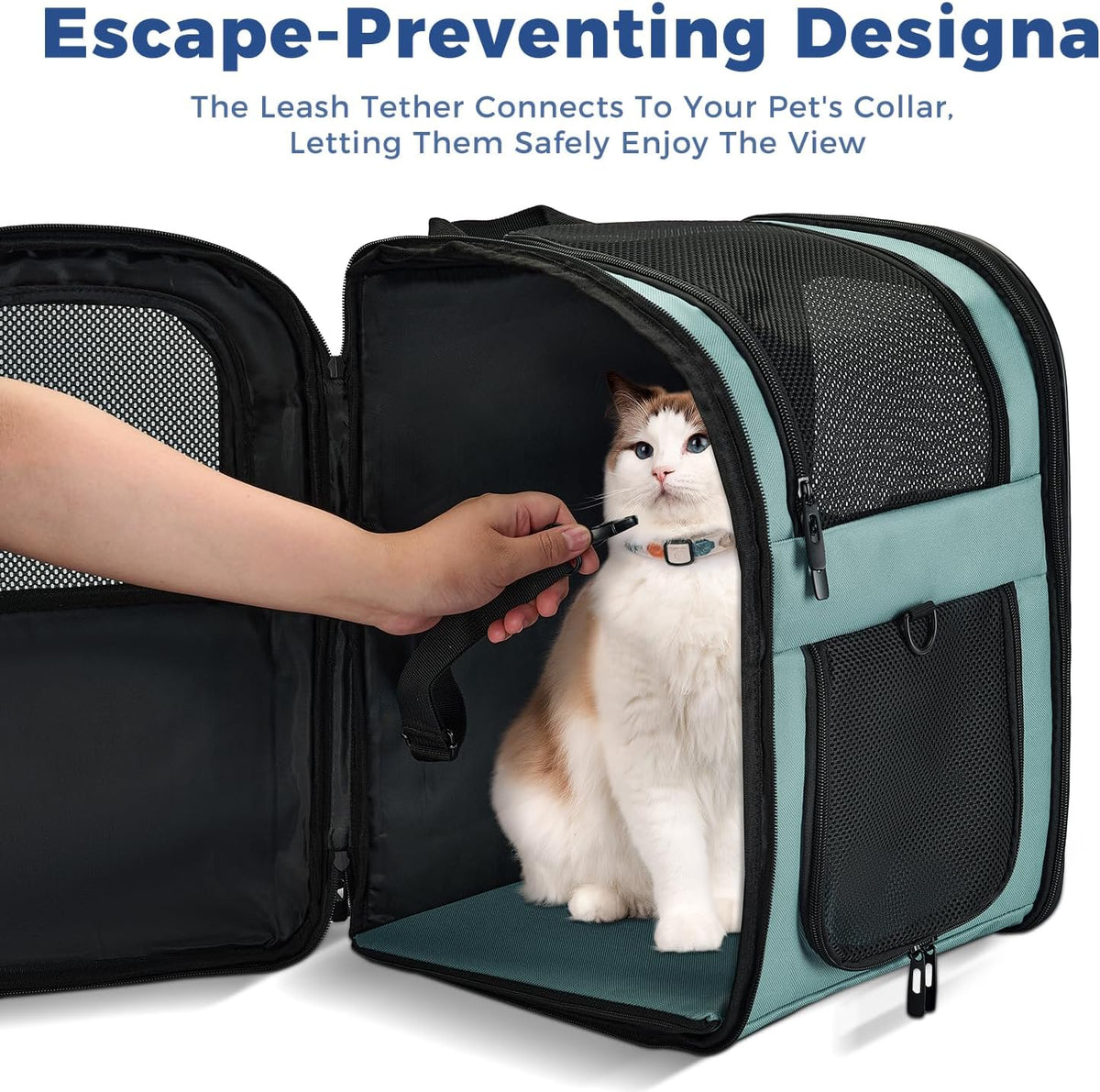 Apollo Walker Cat Carrier Backpack for Small Dogs and Cats Up to 18 lb