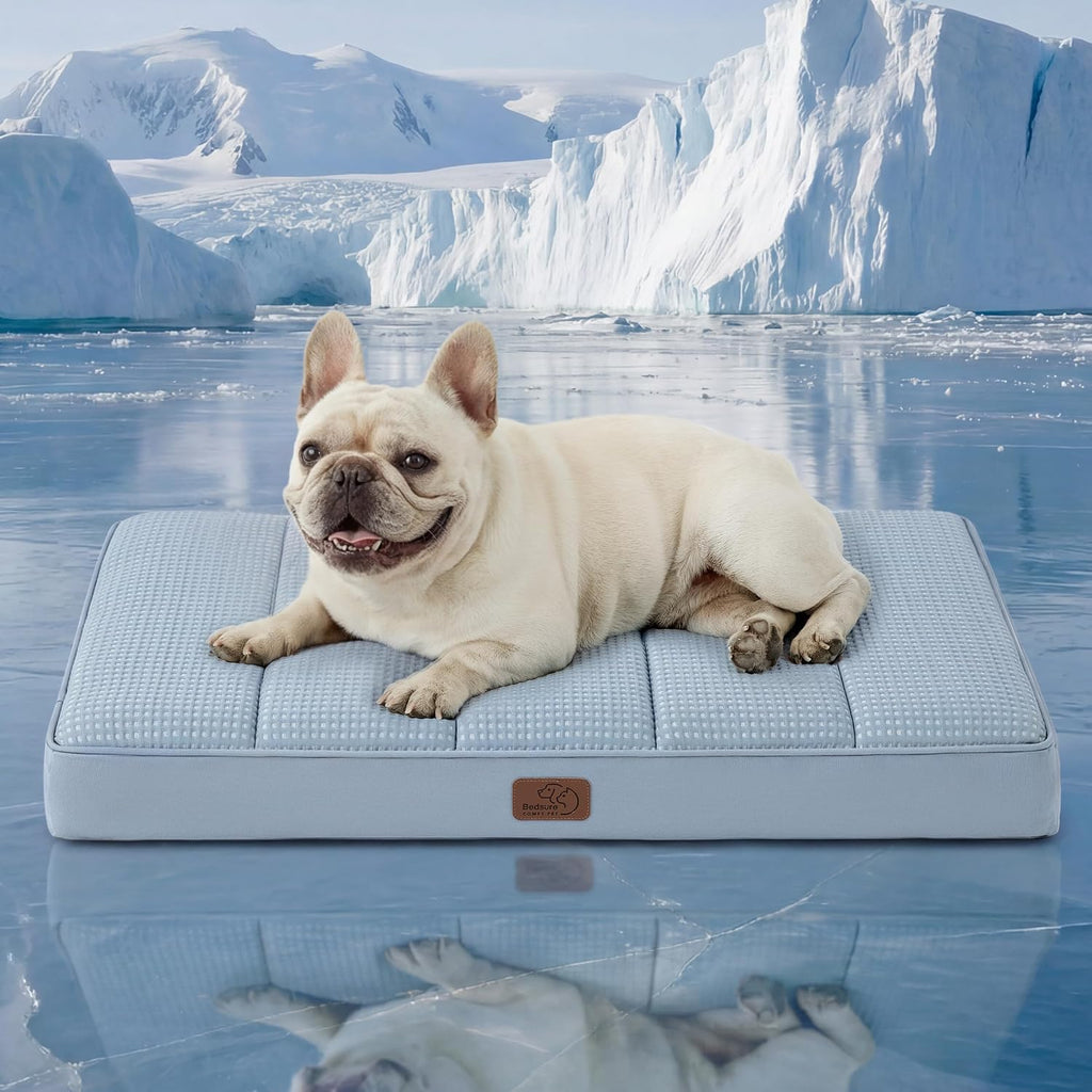Bedsure Washable Dog Beds Large Sized Dog with Comfy Sherpa, 36x27in Grey