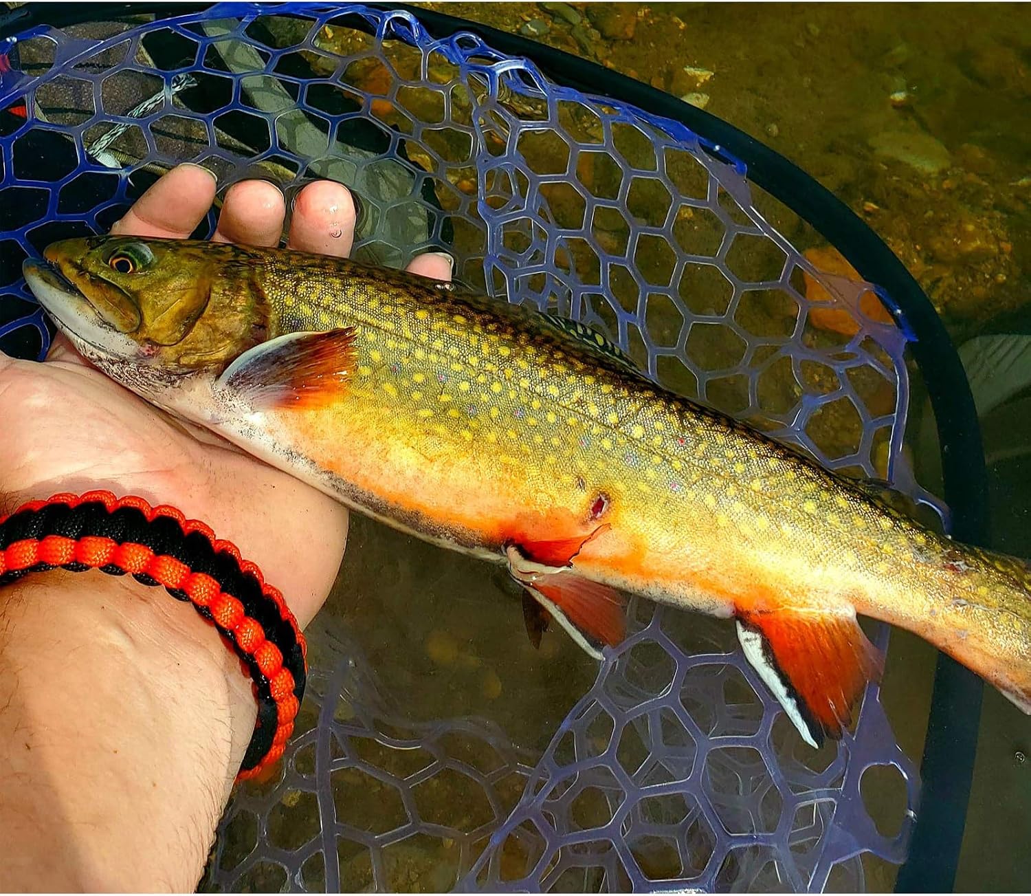 Aventik Fly Floating Fishing Net Carbon Fiber Landing Trout Net Light Weight Clear Rubber Ghost Net Catch & Release