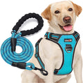 tobeDRI No Pull Dog Harness Adjustable Reflective Oxford Easy Control Medium Large Dog Harness with A Free Heavy Duty 5ft Dog Leash, Blue, L
