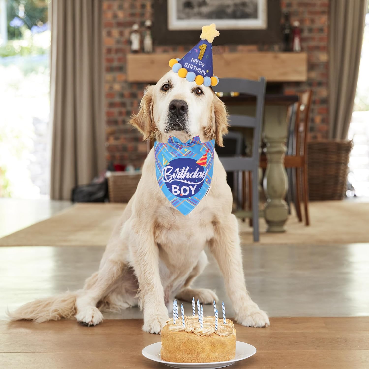 ADOGGYGO Dog Birthday Hat, Blue Birthday Boy Dog Bandana Set, X-Large