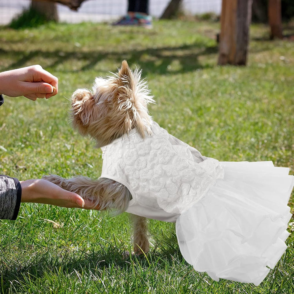 ASENKU Dog Dress, Dog Wedding Dress with Bows, Veil Attachment, White XL